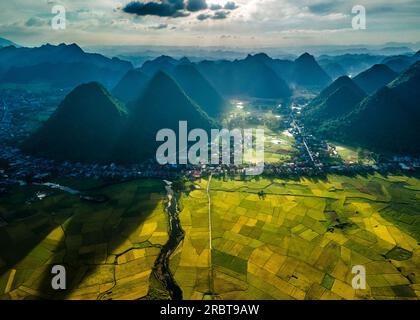 Reife Reisfelder im Bac Son Valley, Vietnam Stockfoto