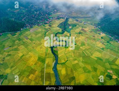 Reife Reisfelder im Bac Son Valley, Vietnam Stockfoto