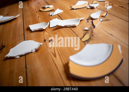 Berlin, Deutschland. 01. Juli 2023. Kaputte Teller liegen auf dem Boden einer Wohnung. (Poposed Scene) Kredit: Fabian Sommer/dpa/Alamy Live News Stockfoto