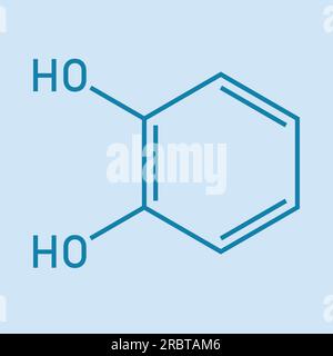 Chemische Struktur von Catechol (C6H6O2). Chemische Ressourcen für Lehrer und Schüler. Vektordarstellung isoliert auf weißem Hintergrund. Stock Vektor