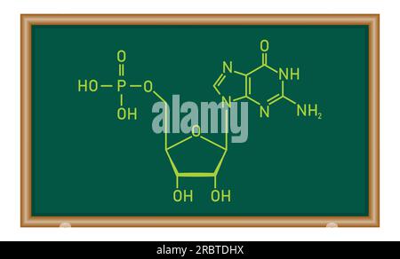 Chemische Struktur des DNS-Nucleotids. Drei Teile eines Nukleotids. Phosphatgruppe, Pentosezucker und stickstoffhaltige Base. Nukleinsäuren. Chemie-Resou Stock Vektor