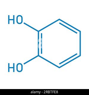 Chemische Struktur von Catechol (C6H6O2). Chemische Ressourcen für Lehrer und Schüler. Vektordarstellung isoliert auf weißem Hintergrund. Stock Vektor