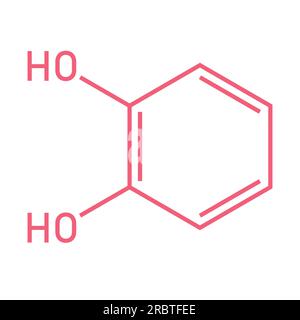 Chemische Struktur von Catechol (C6H6O2). Chemische Ressourcen für Lehrer und Schüler. Vektordarstellung isoliert auf weißem Hintergrund. Stock Vektor