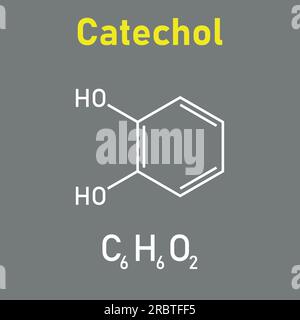 Chemische Struktur von Catechol (C6H6O2). Chemische Ressourcen für Lehrer und Schüler. Vektordarstellung isoliert auf weißem Hintergrund. Stock Vektor