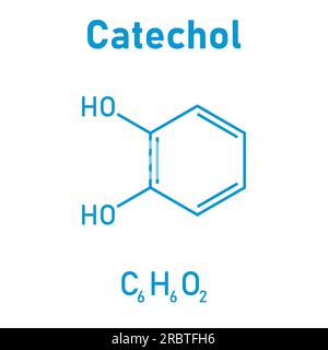 Chemische Struktur von Catechol (C6H6O2). Chemische Ressourcen für Lehrer und Schüler. Vektordarstellung isoliert auf weißem Hintergrund. Stock Vektor