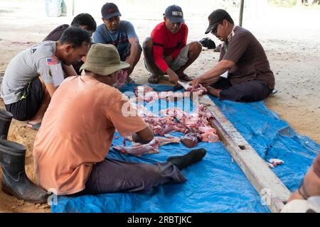 Lampung, Indonesien, 29. Juni 2023: Unbekannte indonesische Moslems helfen sich gegenseitig beim Schlachten halaler Opfertiere während des Eid al-Adha Stockfoto