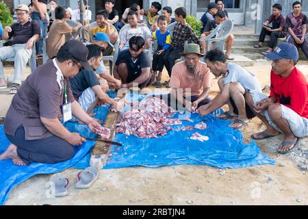 Lampung, Indonesien, 29. Juni 2023: Unbekannte indonesische Moslems helfen sich gegenseitig beim Schlachten halaler Opfertiere während des Eid al-Adha Stockfoto