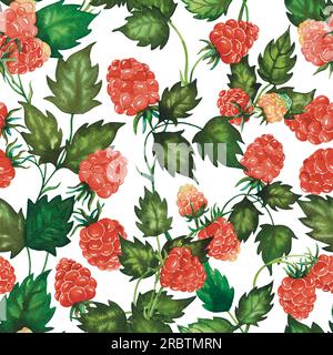 Nahtloses Aquarell-Himbeermuster mit Beeren, von Hand gezogene Blätter, isoliert auf weiß. Für Textilien, Geschenkpapier, Hintergründe Stockfoto