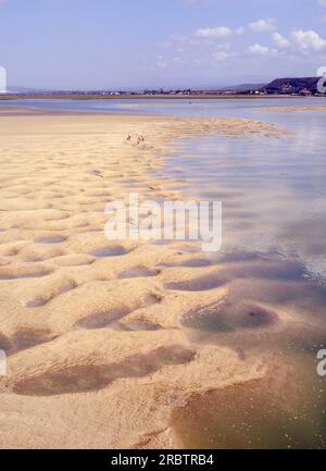 Der Swartskop River liegt in der Nähe von Gqeberha, früher Port Elizabeth genannt, in der Provinz Ostkap von Südafrika. Stockfoto