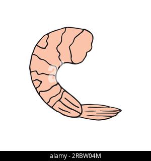Von Hand gezeichnete Vektorskizzen-Shrimps Stock Vektor
