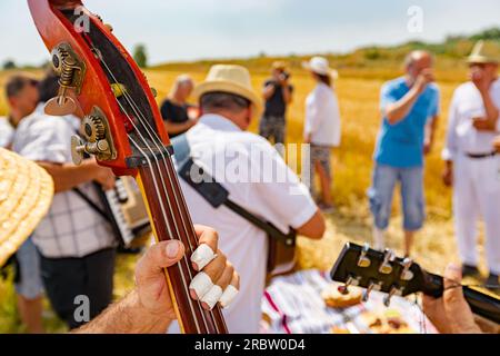 Nahaufnahme des Schmuggels. Der Musiker spielt Doppelbass mit bandagierten Fingern, Musik für Glück und Erfolg, bevor die Bauern anfangen, zu ernten Stockfoto