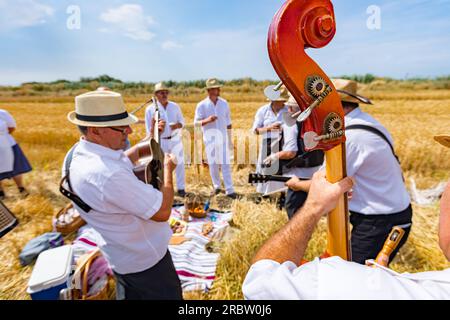 Nahaufnahme eines Teils von Schmuggelware, Headstock mit Stimmtasten. Der Musiker spielt Doppelbass für Glück und Erfolg, bevor die Bauern betteln Stockfoto