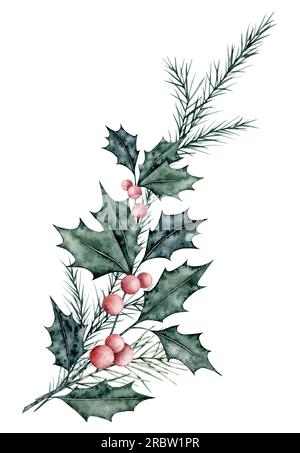 Weihnachtsstrauß aus Ileexzweigen mit roten Beeren und Fichtenzweig, immergrünen Baum, Tanne, Zedern. Smaragdholly-Blätter. Botanisches Winterberry-Banner Stockfoto