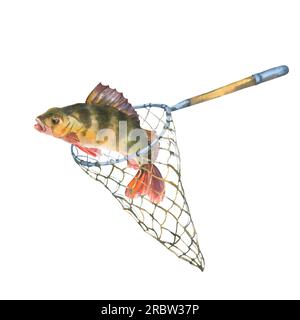 Aquarell-Darstellung, Fisch gefangen in einem Fischernetz. Barsch verwickelt in einem Fischernetz, isoliert auf weißem Hintergrund. Ausschneiden des Clip Art-Elements für Stockfoto