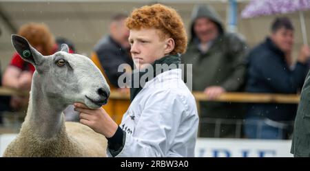 Bauern zeigen ihre Schafe auf der Royal Highland Show, Edinburgh, 2023. Stockfoto