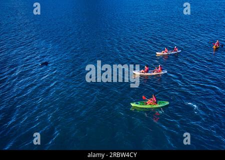 Mauritius, Westküste, Black River District, Tamarin, Tamarin Bay, Delfinbeobachtung mit dem Kanu Kajak Stockfoto