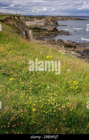 Blick von den Klippen auf Marsden Sands und Marsden Rock. In der Ferne kann man einfach die Pirs und Leuchttürme in Tynemouth erkennen Stockfoto