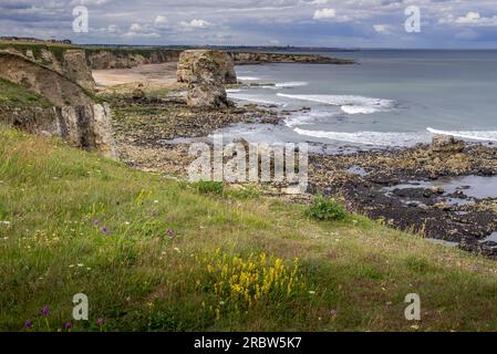 Blick von den Klippen auf Marsden Sands und Marsden Rock. In der Ferne kann man einfach die Pirs und Leuchttürme in Tynemouth erkennen Stockfoto