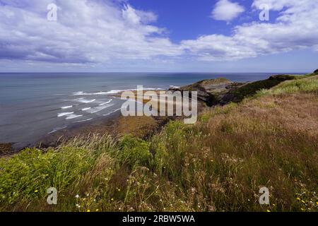 Blick auf Kettleness vom Fußweg Cleveland Way. Kettleness an der Küste von North Yorkshire zwischen Runswick Bay und Whitby. Dieses Foto war Sho Stockfoto