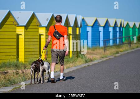 Mann in Shorts spaziert 2 Hunde entlang der Strandpromenade an Strandhütten in Summer, Großbritannien. Stockfoto