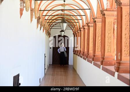 Schallaburg, Niederösterreich, Österreich. 04. Juli 2023. Teilblick auf den großen Innenhof der Arkade im Schloss Schallaburg Stockfoto