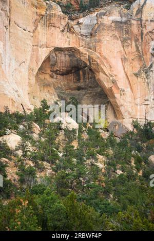 El Malpais National Monument im Westen von New Mexico Stockfoto