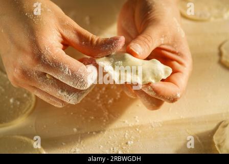 Schritt für Schritt zu Hause Blaubeerknödel pierogi varenky machen. Zubereitung von traditionellem Sommerpolitur oder ukrainischem Gericht mit Mehl und Früchten Stockfoto