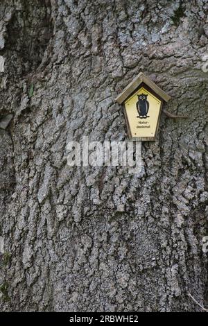 Ein großer Baum, der als Naturdenkmal geschützt ist („Naturdenkmal“). Das „Eulenzeichen“ ist eines der offiziellen Symbole des Naturschutzes in Deutschland. Stockfoto