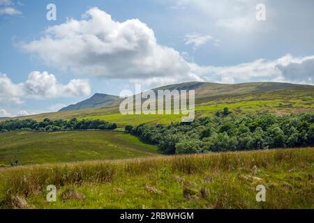 Der Blick auf Wild Boar fiel in Cumbria und überblickte das Mallerstang Valley mit seinen Farmen und Dörfern darunter - von der Tommy Road Stockfoto