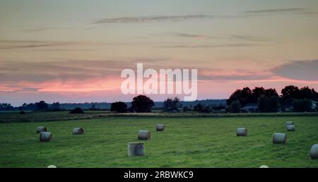 Blick auf eine Wiese mit Heuballen in der Nähe von Greifswald, Mecklenburg-Vorpommern. Das Bild wurde mit einer HDR-Bildgebungstechnik erstellt. Stockfoto