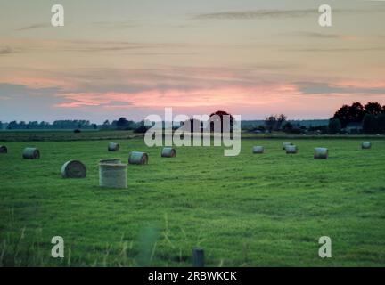 Blick auf eine Wiese mit Heuballen in der Nähe von Greifswald, Mecklenburg-Vorpommern. Das Bild wurde mit einer HDR-Bildgebungstechnik erstellt. Stockfoto