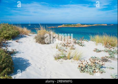 Capo Comino, Siniscola, Sardinien, Italien, Europa Stockfoto