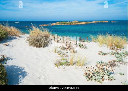 Capo Comino, Siniscola, Sardinien, Italien, Europa Stockfoto