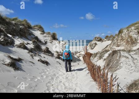 Amrum-Odde, der Weg zwischen der Nordsee und dem Wattenmeer am nördlichen Punkt der Insel Amrum, Deutschland Stockfoto