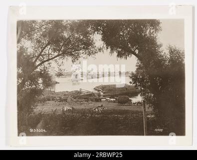 Soldaten des amerikanischen Militärs nehmen an Übungen im Ersten Weltkrieg Teil Die Soldaten zielen und feuern ihre Gewehre auf einem Feld. Stockfoto