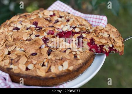 Kirschkuchen auf einem Teller im Garten Stockfoto