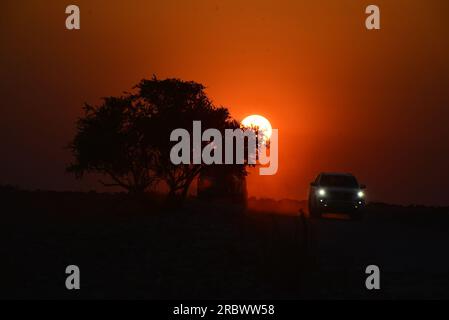 Safari-Auto bei Sonnenaufgang, Wasserloch Klein Namutoni, Etosha-Nationalpark, Namibia Stockfoto