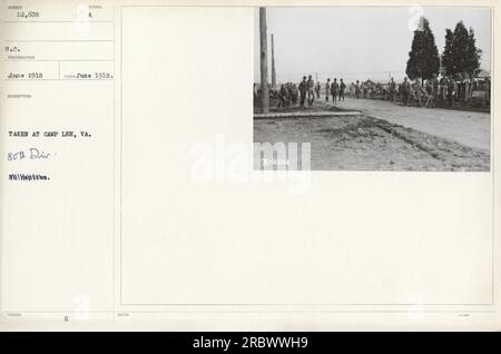 Soldaten der 80. Division im Ersten Weltkrieg Dieses Foto wurde im Juni 1918 in Camp Lee, Virginia, aufgenommen. Stockfoto