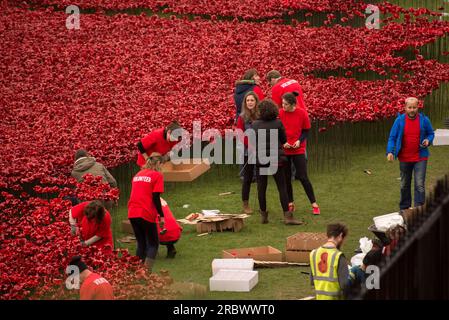 Freiwillige, die Mohnblumen im TOWER OF LONDON Pflanzen, ERINNERN SICH AN DIE HUNDERTJÄHRIGEN GEDENKFEIERN des 1. Weltkriegs IM TOWER OF LONDON Stockfoto