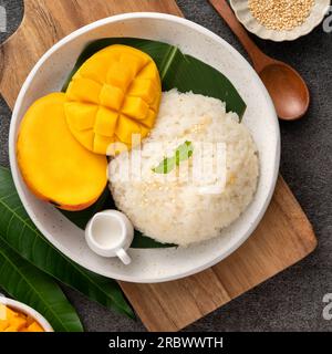 Köstlicher klebriger Reis aus thailändischer Mango mit geschnittenen frischen Mangofrüchten auf einem Teller mit grauem Tischhintergrund. Stockfoto