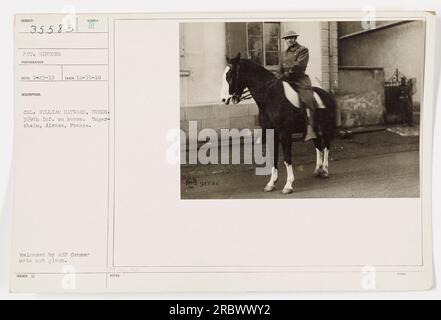 Oberst William Hayward von der Coldg 369. Infanterie auf einem Pferd in Unger-sheim, Alence, Frankreich. Das Foto wurde am 11. Dezember 1918 von Gefreiter Gibbons aufgenommen. Es wurde vom AEF-Censor veröffentlicht, wobei das genaue Veröffentlichungsdatum unbekannt ist. Stockfoto