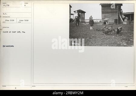 Soldaten, die im Juni 1918 an einer Übung in Camp Lee, Virginia, teilnahmen. Auf diesem Foto sehen Sie, wie sie im Rahmen ihrer Vorbereitung auf den Ersten Weltkrieg militärische Übungen und Manöver durchlaufen. Stockfoto