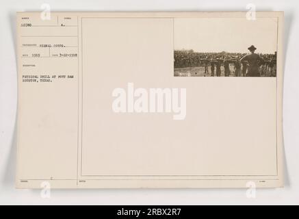 Physische Übung im ersten Weltkrieg in Fort Sam Houston in Texas. Das Foto mit der Nummer 111-SC-10780 wurde 1919 von einem Fotografen des Signalkorps aufgenommen. Das Bild zeigt Soldaten, die an organisierten Übungen teilnehmen. Stockfoto