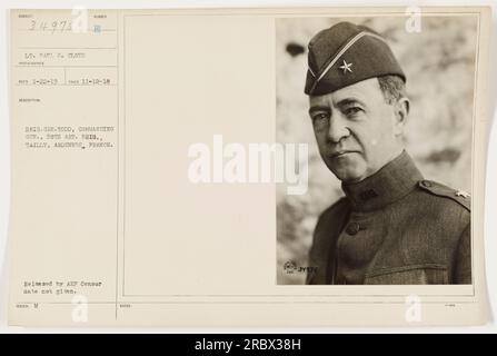 Lieutenant Paul Cloud, ein Fotograf beim US-Militär, hat dieses Foto am 12. November 1918 in Tailly, Ardennen, Frankreich, aufgenommen. Das Bild zeigt Brigadegeneral Todd, den kommandierenden General der Artilleriebrigade 58. Das Bild wurde von der Zensur der American Expeditionary Forces (AEF) veröffentlicht, obwohl das Datum der Entlassung unbekannt ist. Stockfoto