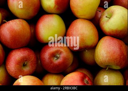 Braeburn-Äpfel Stockfoto