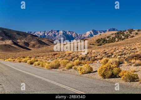 Sierra Nevada in der Ferne, Death Valley Road östlich von Big Pine, Spätherbst, Mojave Desert, Kalifornien, USA Stockfoto