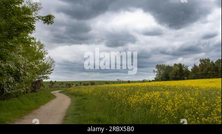 Auf dem Weg zur Insel poel Stockfoto