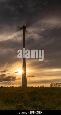 Auf dem Weg zur Insel poel Stockfoto