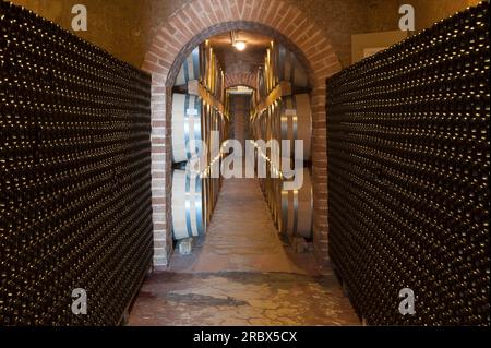 Cantina di Santadi, Sardinien, Italien, Europa Stockfoto