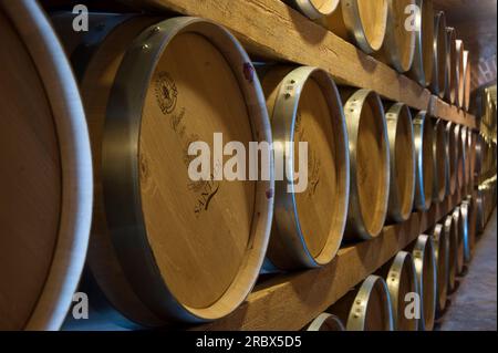 Cantina di Santadi, Sardinien, Italien, Europa Stockfoto